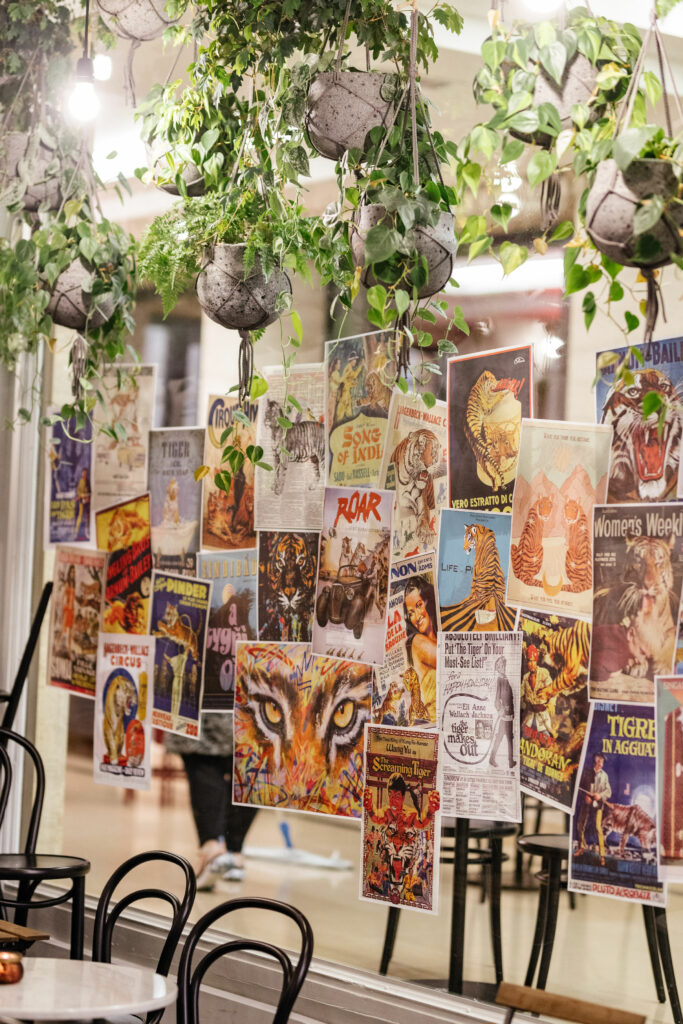 2022-12-07BefimmoxMartinPilettex70-100-136